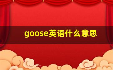 goose英语什么意思