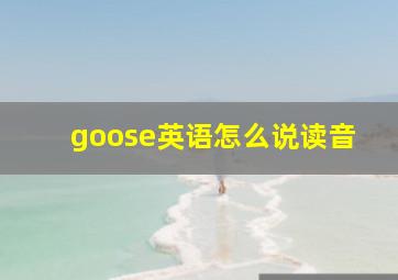 goose英语怎么说读音