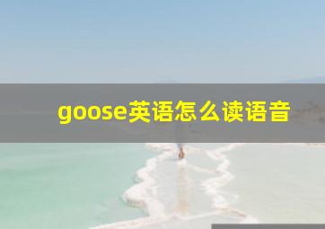 goose英语怎么读语音