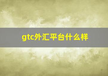 gtc外汇平台什么样