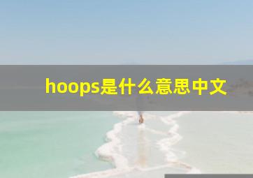 hoops是什么意思中文