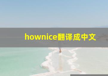 hownice翻译成中文