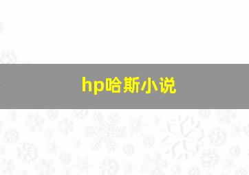 hp哈斯小说