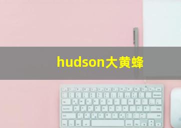 hudson大黄蜂