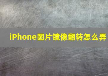 iPhone图片镜像翻转怎么弄