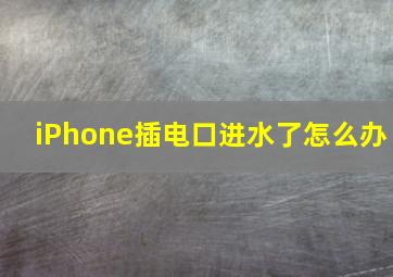 iPhone插电口进水了怎么办