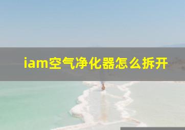 iam空气净化器怎么拆开