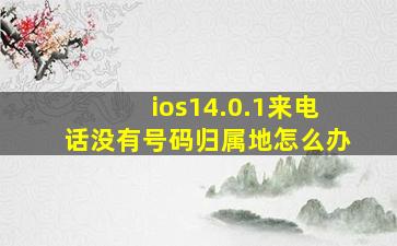 ios14.0.1来电话没有号码归属地怎么办