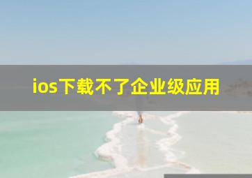 ios下载不了企业级应用