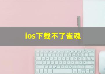 ios下载不了雀魂