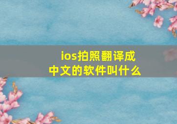 ios拍照翻译成中文的软件叫什么