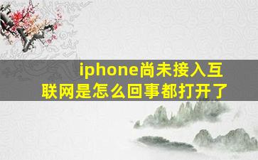 iphone尚未接入互联网是怎么回事都打开了