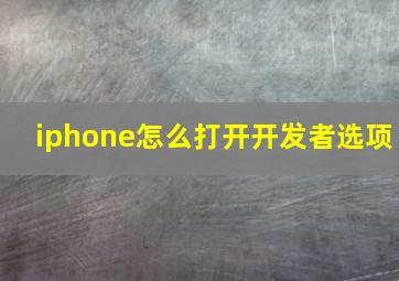 iphone怎么打开开发者选项