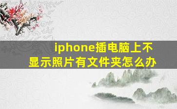 iphone插电脑上不显示照片有文件夹怎么办