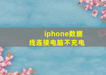 iphone数据线连接电脑不充电