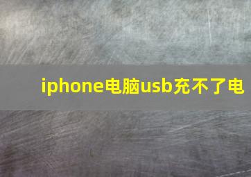 iphone电脑usb充不了电