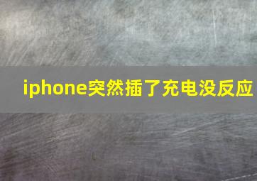 iphone突然插了充电没反应