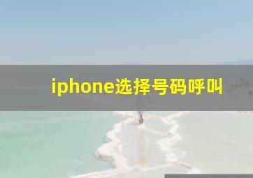 iphone选择号码呼叫