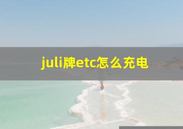 juli牌etc怎么充电