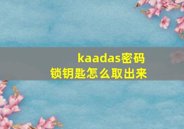 kaadas密码锁钥匙怎么取出来