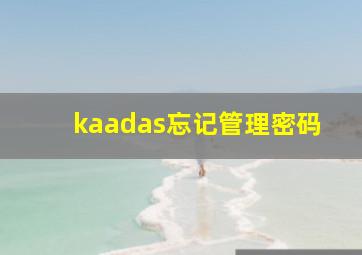 kaadas忘记管理密码