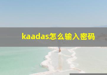 kaadas怎么输入密码