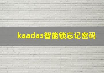 kaadas智能锁忘记密码