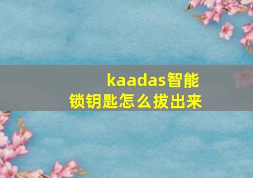 kaadas智能锁钥匙怎么拔出来