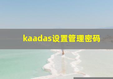 kaadas设置管理密码