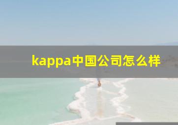 kappa中国公司怎么样