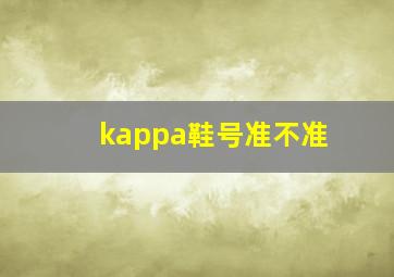 kappa鞋号准不准