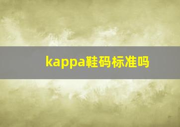 kappa鞋码标准吗