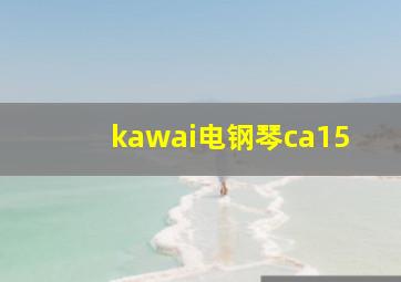 kawai电钢琴ca15