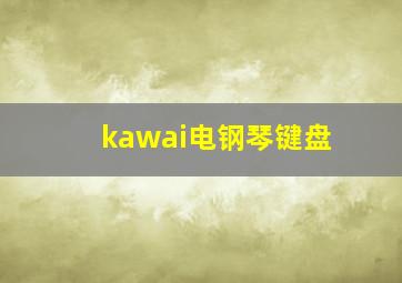 kawai电钢琴键盘