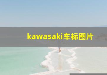 kawasaki车标图片