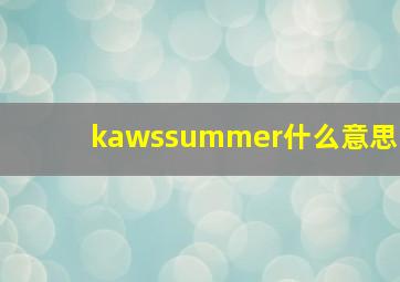 kawssummer什么意思