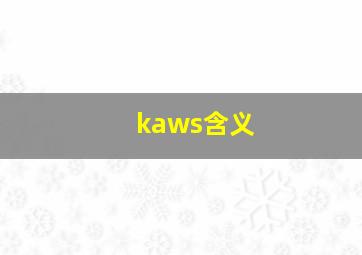 kaws含义