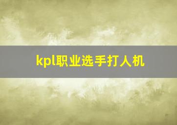 kpl职业选手打人机