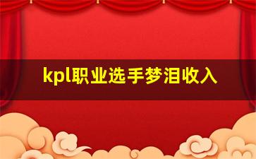 kpl职业选手梦泪收入