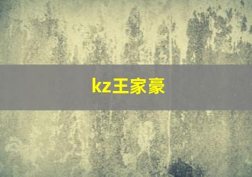 kz王家豪