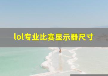 lol专业比赛显示器尺寸