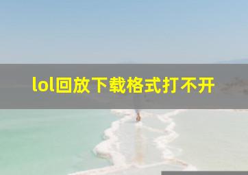 lol回放下载格式打不开