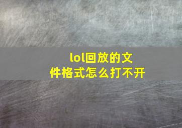 lol回放的文件格式怎么打不开