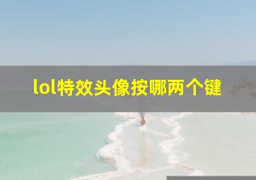 lol特效头像按哪两个键