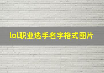 lol职业选手名字格式图片