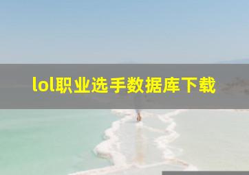 lol职业选手数据库下载