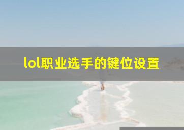 lol职业选手的键位设置