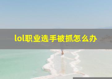 lol职业选手被抓怎么办