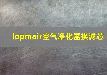 lopmair空气净化器换滤芯