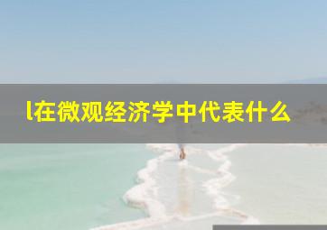 l在微观经济学中代表什么